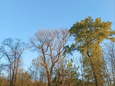 3 pièces au centre ville de versailles