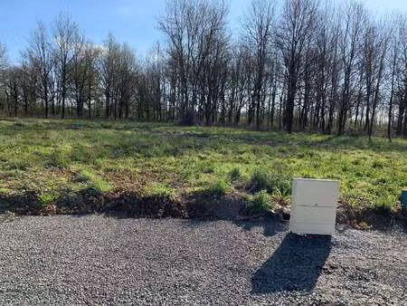 vente terrain à challans (85300) : à vendre / challans