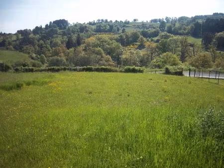 vente terrain 1750 m² à saint-dier-d'auvergne (63520)  39 800 €