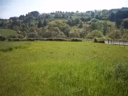 vente terrain à batir 1750 m² à saint-dier-d'auvergne (63520)  39 800 €