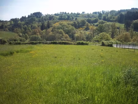 vente terrain à batir à saint-dier-d'auvergne (63520)  39 800 €