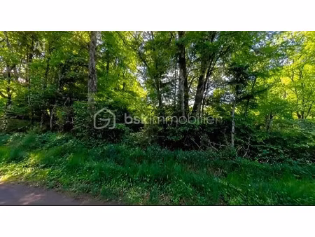 vente terrain 5743 m² à moutiers-en-puisaye (89520)  8 500 €
