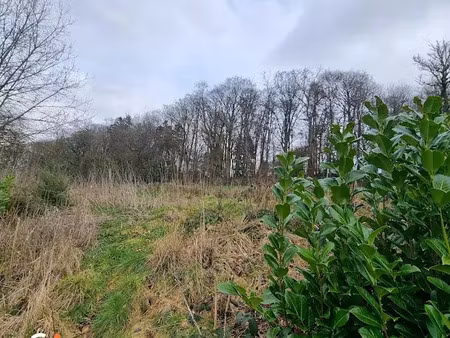 vente terrain à batir 699 m² à dénestanville (76590)  17 900 €
