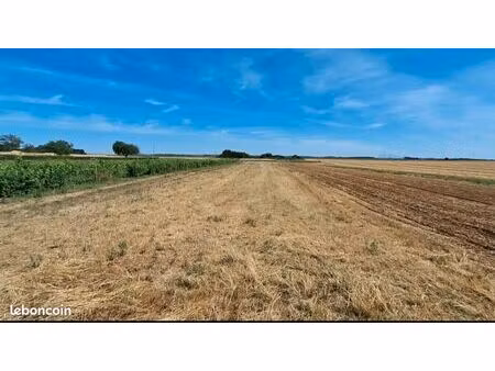 terrain nalliers 2227 m2