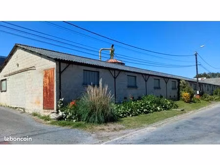 locaux industriels  de stockage et artisanal