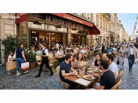 fonds de commerce bar  brasserie 300 m²