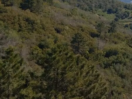 terrain 1800 m² tanneron