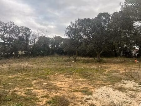 terrain 625 m² bollene