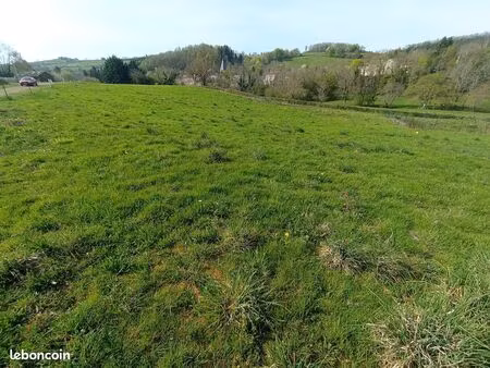 terrain 1 260 m² ferrieres sur sichon