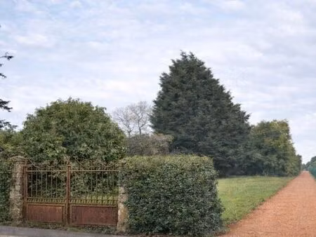 terrain constructible