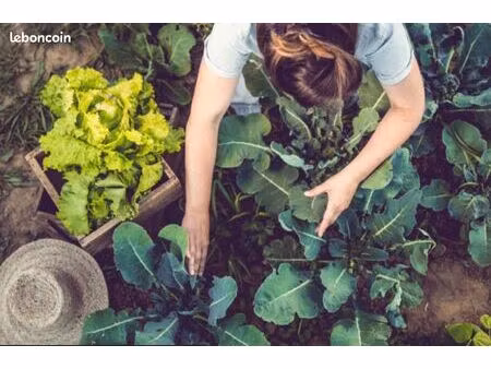 recherche terrain agricole / friche