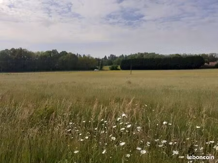 grand terrain constructible - deux hectares -