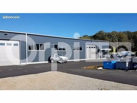 local d'activité 320 m²