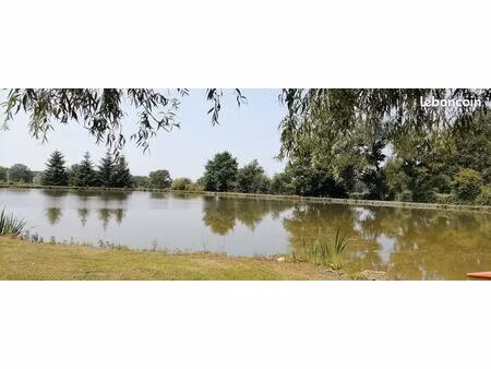 etang ( recherche )