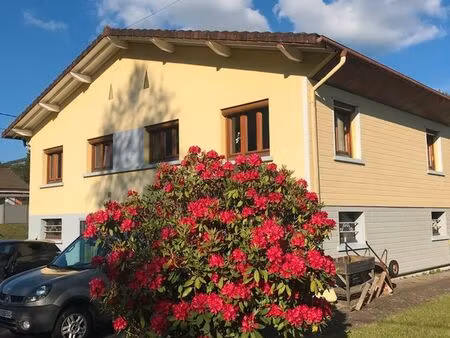 maison individuelle le ménil