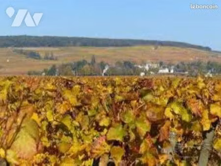 bien agricole 2664 m² mussy sur seine