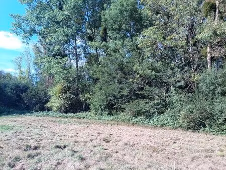 terrain de loisir bois