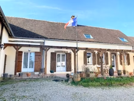 vente maison 9 pièces 228 m² arces-dilo (89320)