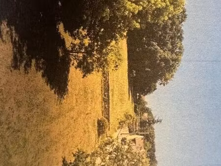 terrain 1 000 m² echarcon