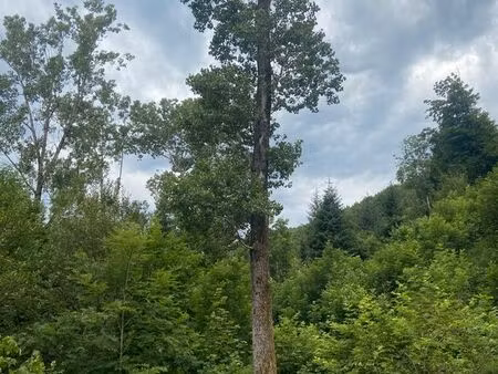 terrain agricole et forestier