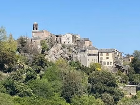 terrain 3000 m² penta-di-casinca