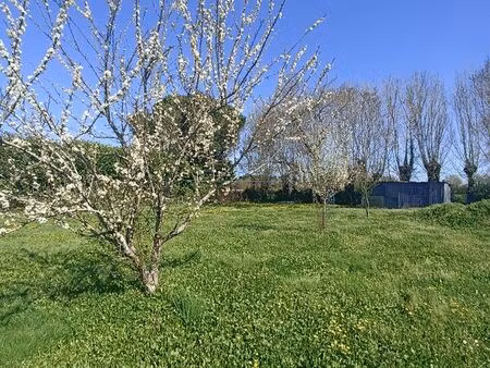 terrain constructible 998m²