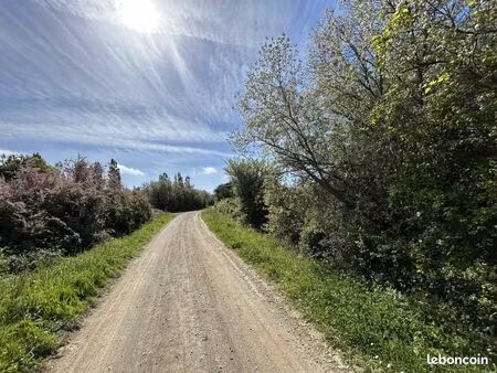 terrain 1000 m² les sables d'olonne