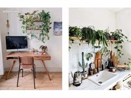 appartement ou maison