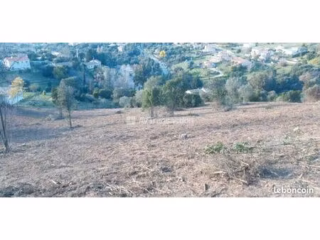 terrain 4 625 m² cuttoli corticchiato