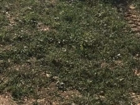 terrain 658 m² fontaines