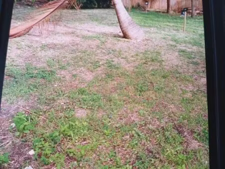 terrain 803 m2 saint françois guadeloupe