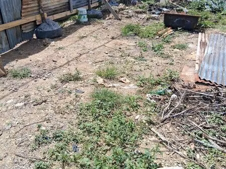 ?️ terrain constructible à vendre aux abymes