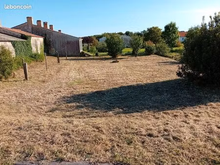 terrain constructible