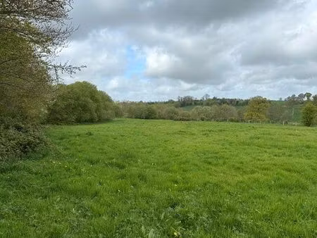 terrain nature en zone natura 2000 – montchauvet – cadre préservé