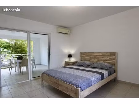 appartement 1 pièce 45 m²