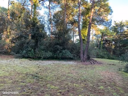ensemble de 5 terrains sur l’île de ré a bois plage