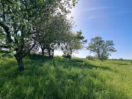 terrain saint saturnin du bois