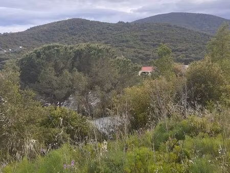 2 terrains sainte-maxime 1200 carré