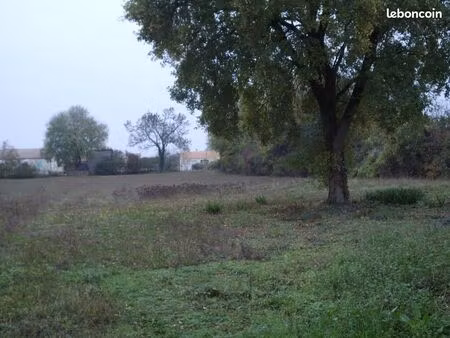 terrain constructible