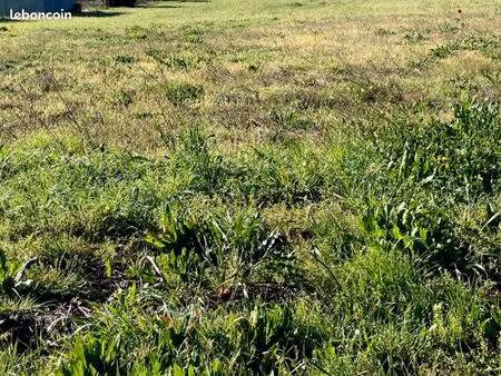 terrain 2 000 m² ternant