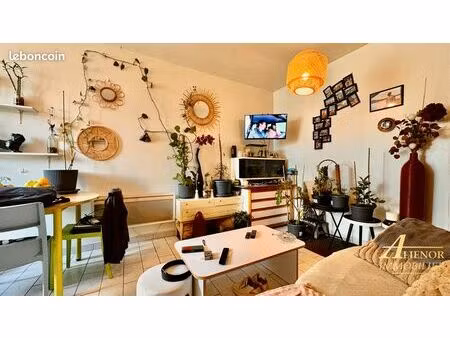 appartement 2 pièces 37 m²