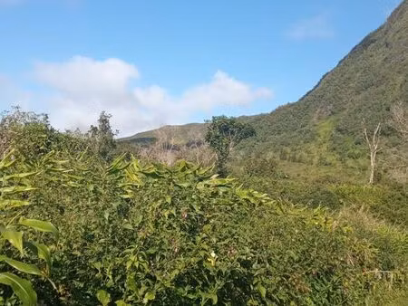 vend terrain a la plaine des palmistes