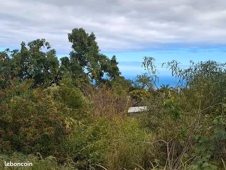 terrain 700 m² le tampon