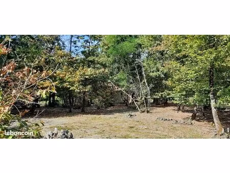 terrain 1 567 m² trelissac