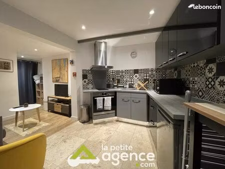 studio 1 pièce 20 m²