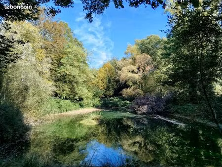 terrain avec étang 5000m2 bussière badil