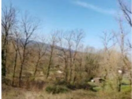 terrain constructible