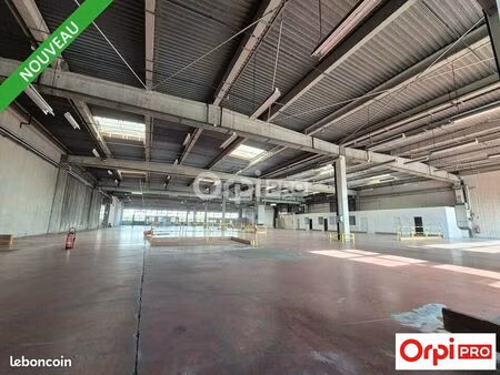 local d'activité 3 000 m²