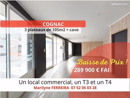immeuble 10 pièces 226 m²