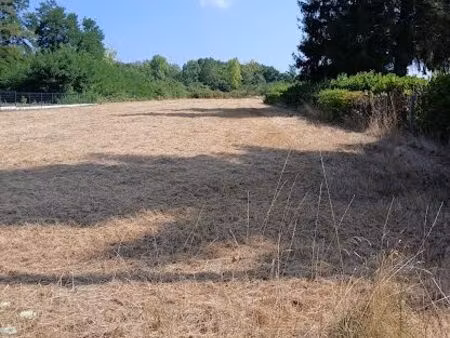 terrain constructible